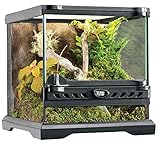 Exo Terra Terrario Nano Wide de 10,5 L,  20 x 20 x 20 cm