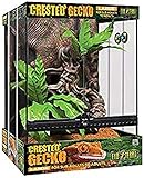 Exo Terra Kit Terrario Cresta Gecko Grande, 45 x 45 x 60 cm